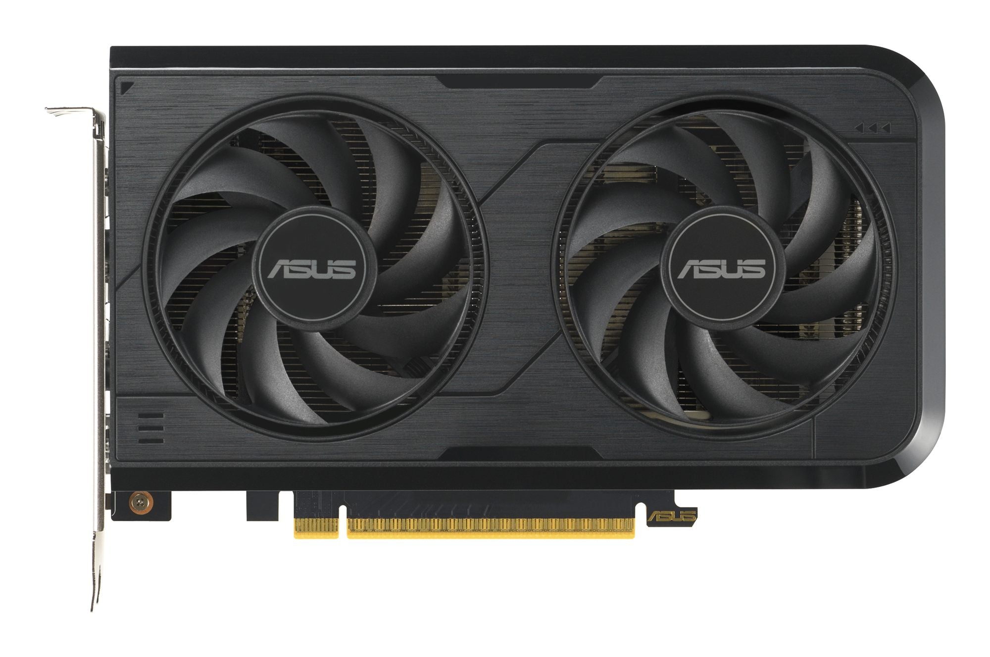 ASUS DUAL Geforce RTX 5050 OC 8Go GDDR6 3xDP 1xHDMI