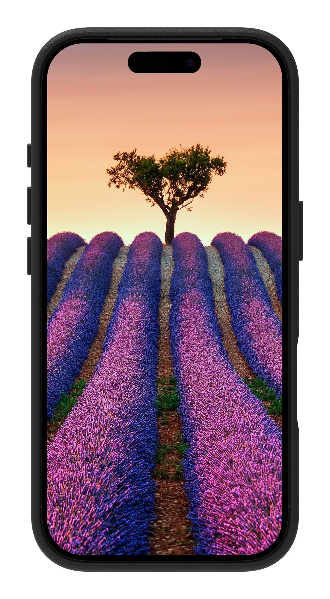 Roskilde MS iPhone 17 Pro BLK