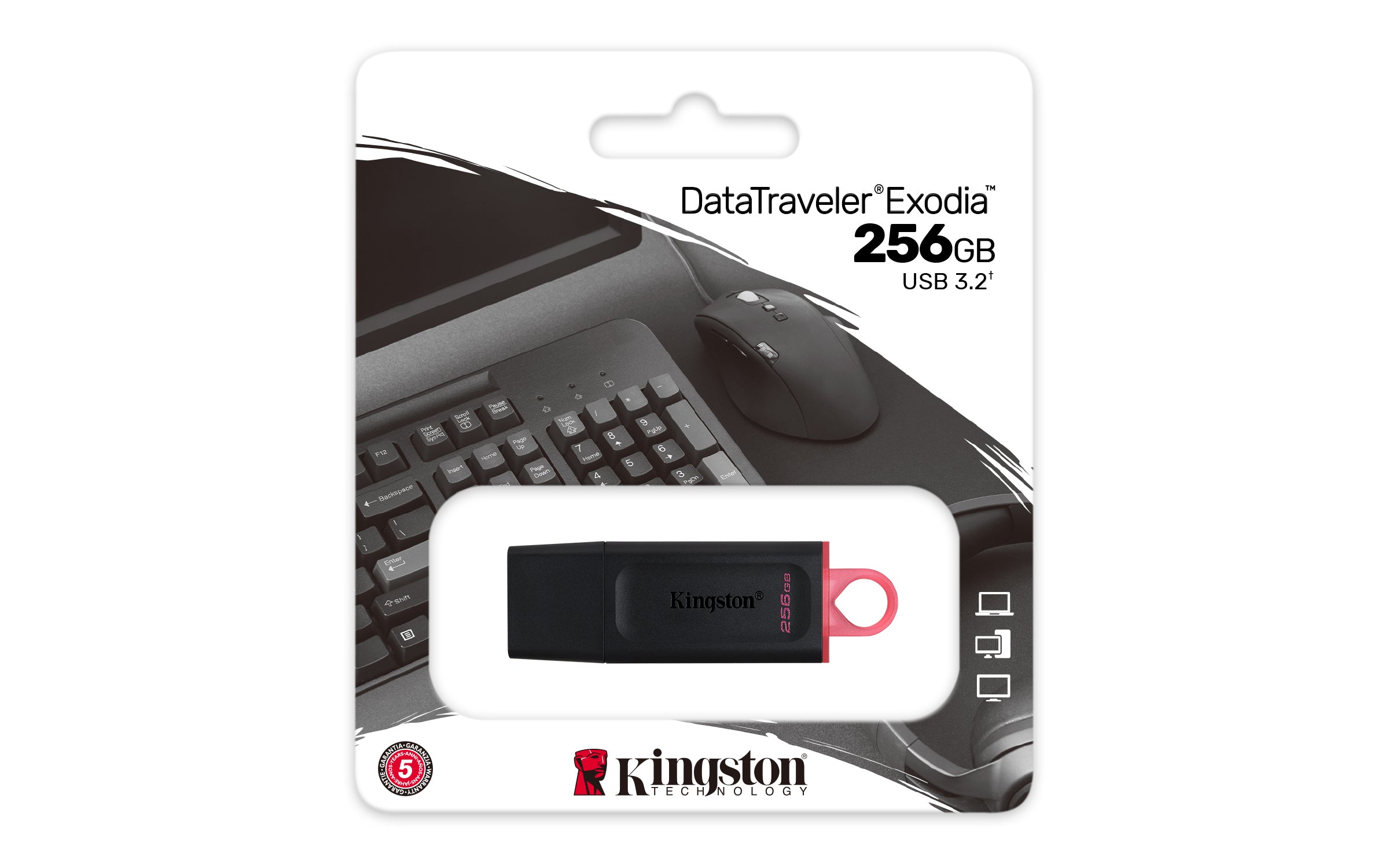 KINGSTON 256Go USB3.2 Gen1 DataTraveler Exodia Black + Pink