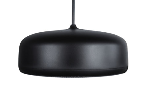 Biamp Pair of 6.5in pendant speaker Black