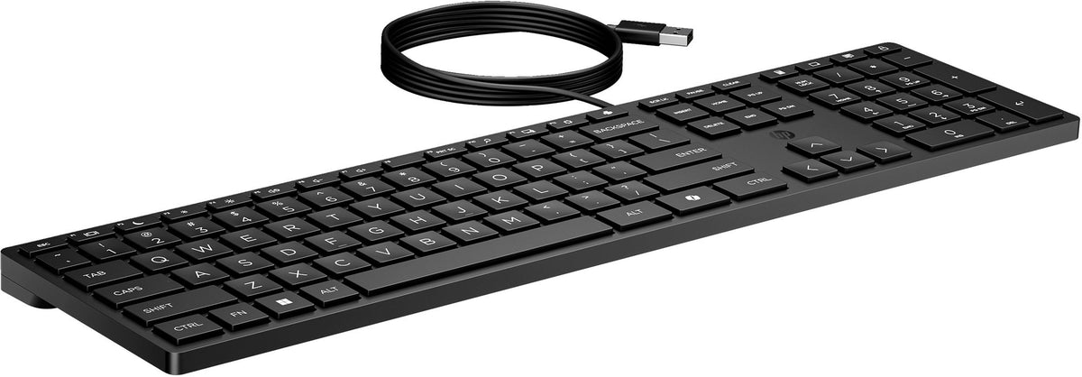 HP 320K Wired Keyboard SmartBuy (EN)