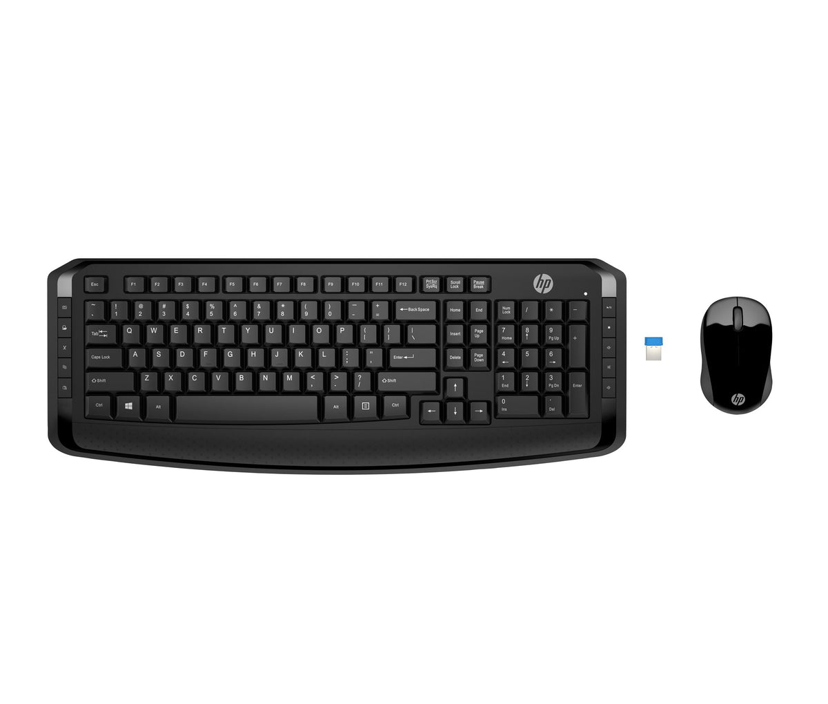 HP WL Keyboard and Mouse 300