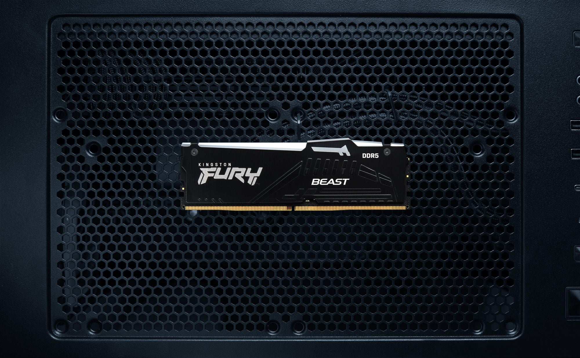 KINGSTON 64Go 5600MT/s DDR5 CL36 DIMM Kit of 2 FURY Beast RGB EXPO