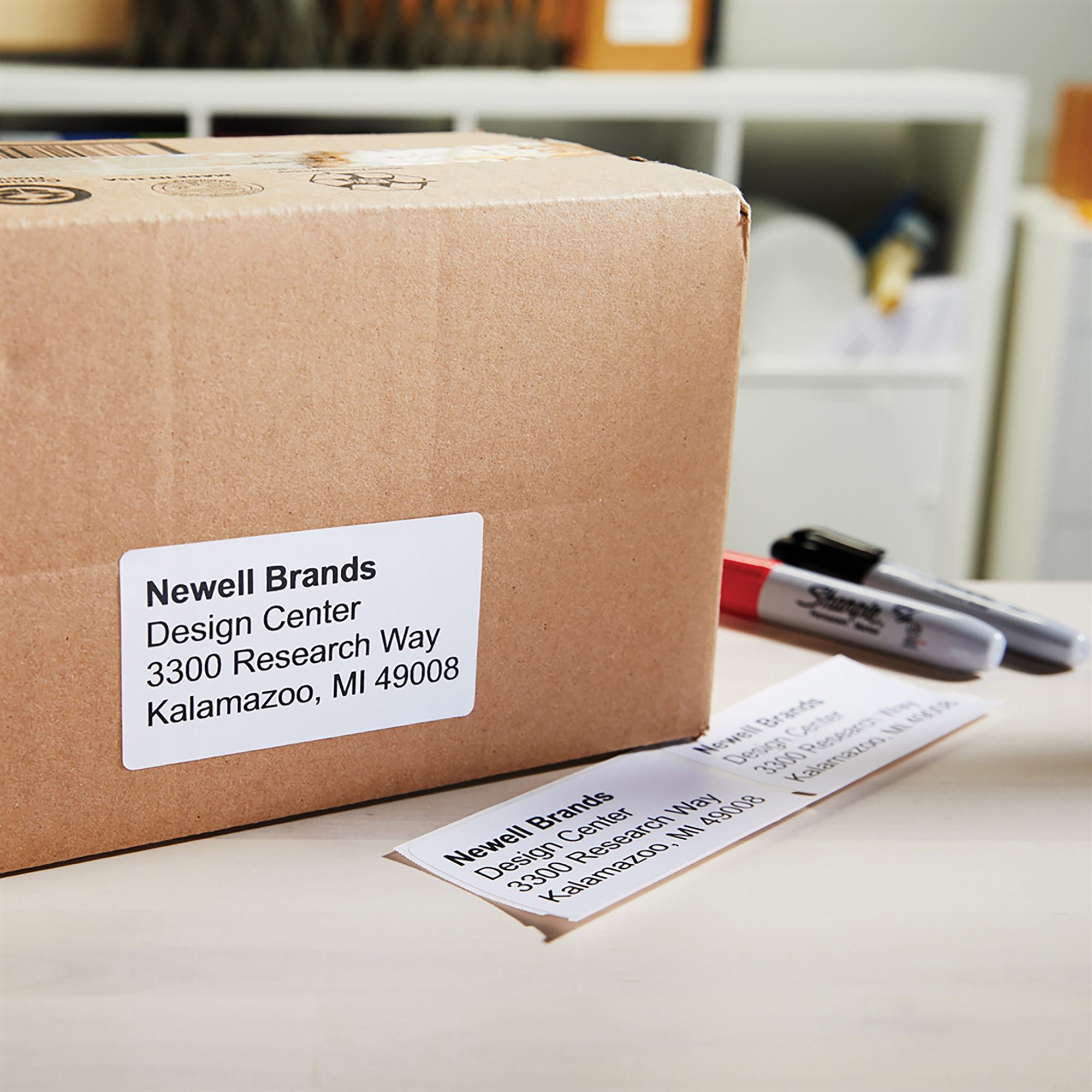 DYMO Etiquettes LabelWriter 12 x 1000 étiquettes