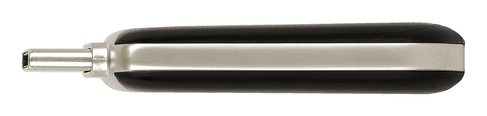 Plectra USB-C Flash Drive Black 64GB