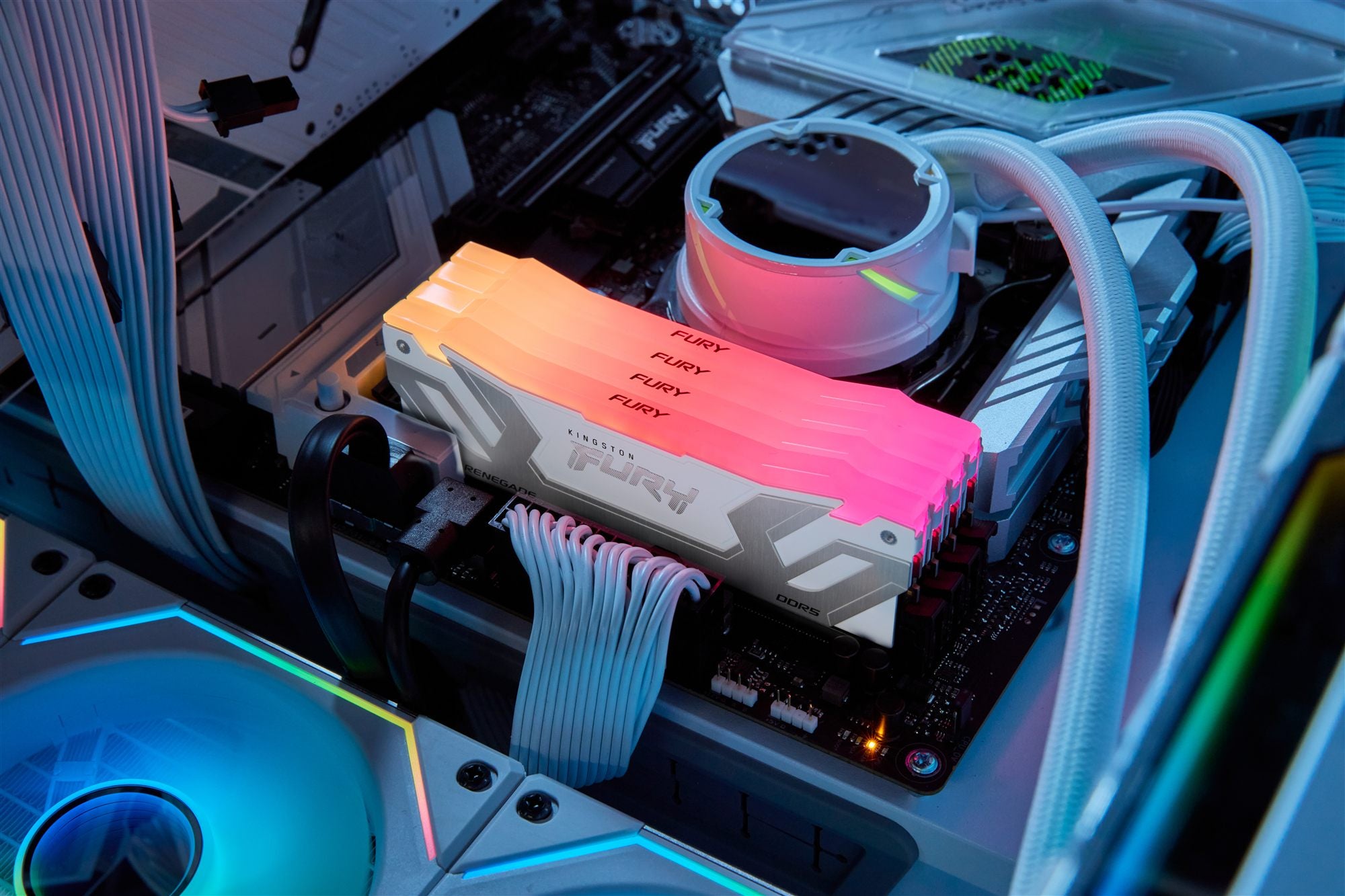 KINGSTON 24Go 8800MT/s DDR5 CL42 CUDIMM FURY Renegade RGB White