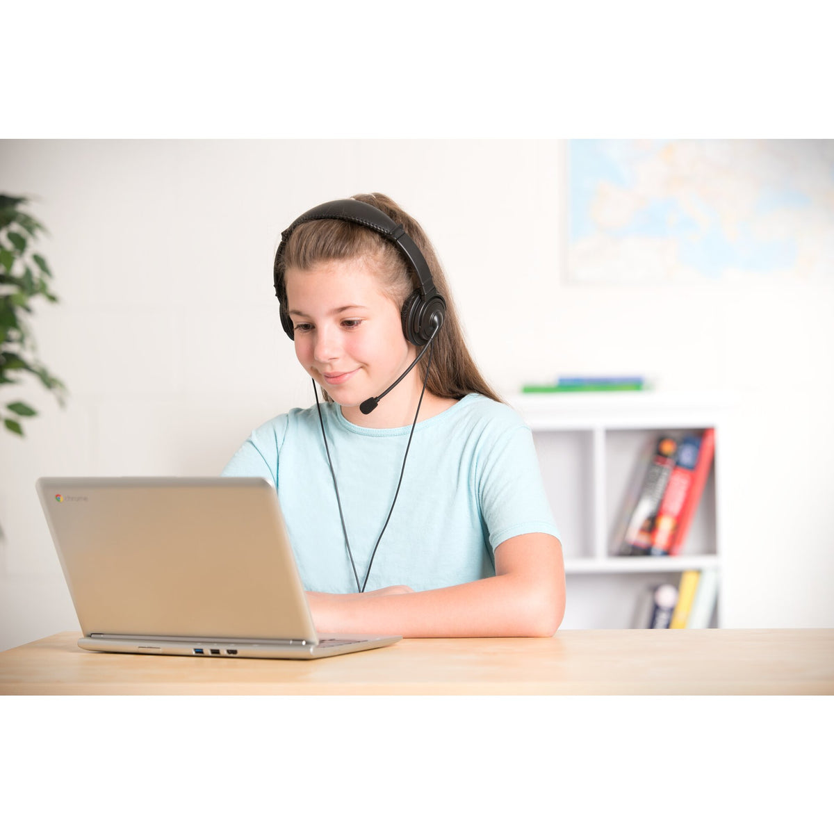 USB Hi-Fi Headphones with Mic