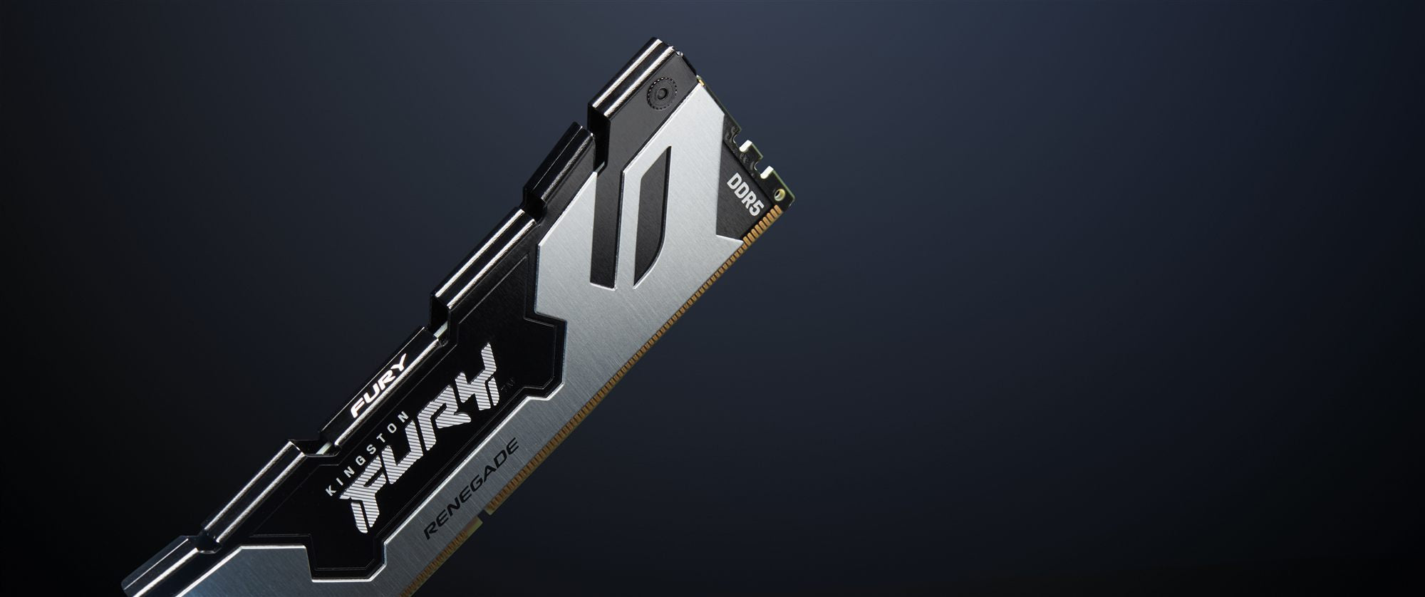 KINGSTON 16Go 6400MT/s DDR5 CL32 DIMM FURY Renegade Silver