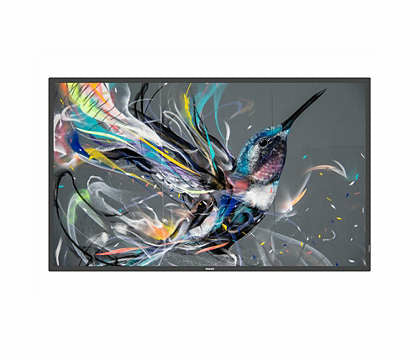 65" D-LED ECO-design 4K Display And