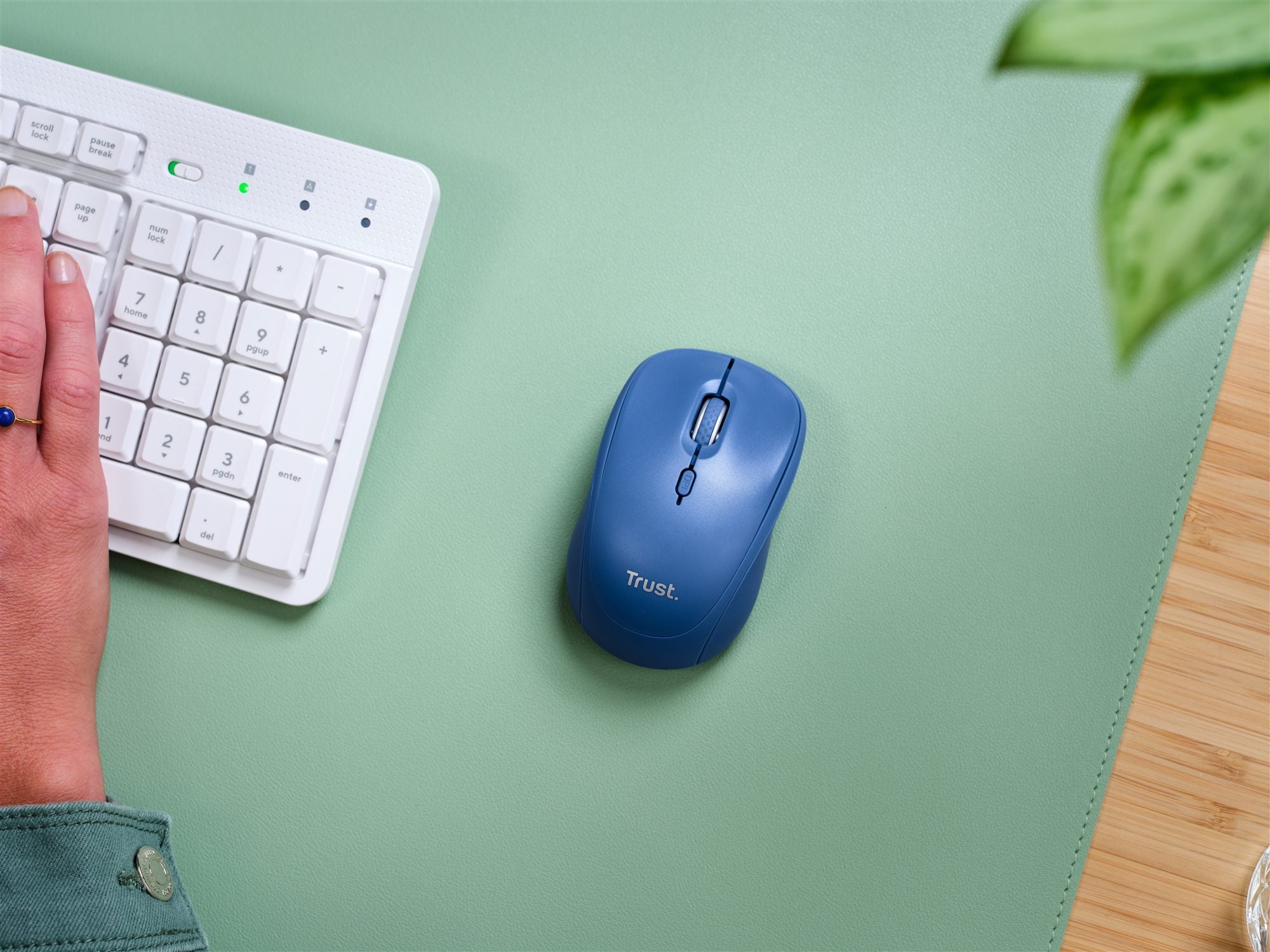 TRUST Souris sans fil compacte YVI+ Multi-connexion Bluetooth + 24 Ghz - Noire