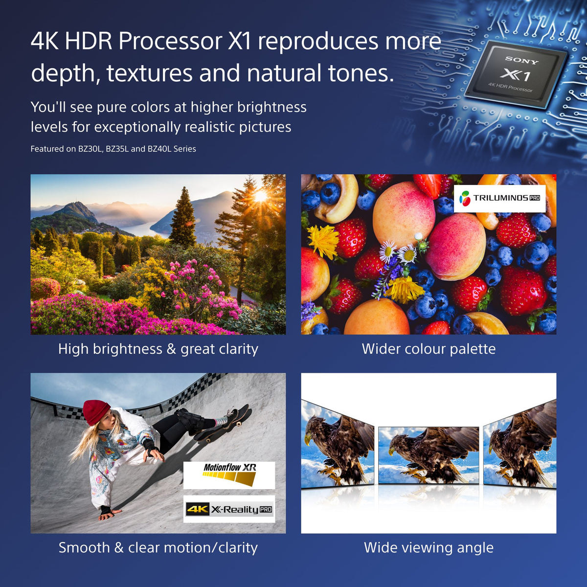 75" Pro BRAVIA LCD 700nit Haze