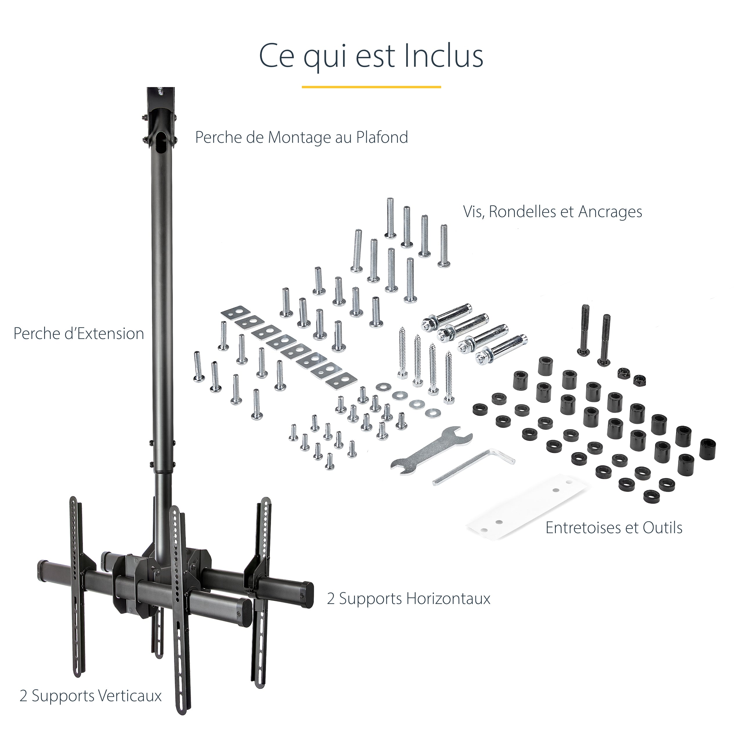 TV Mount - Ceiling - Dual Back to Back