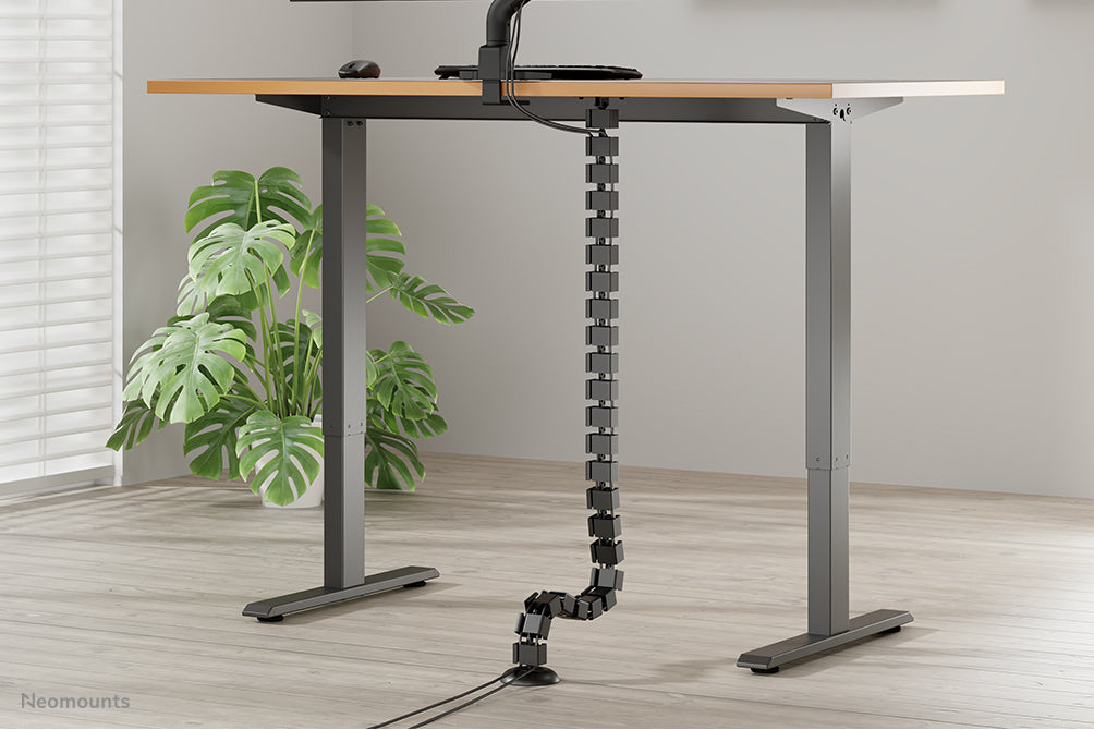 NEOMOUNTS Cable Spine Organizer for sit/stand desk frames screw mounted black