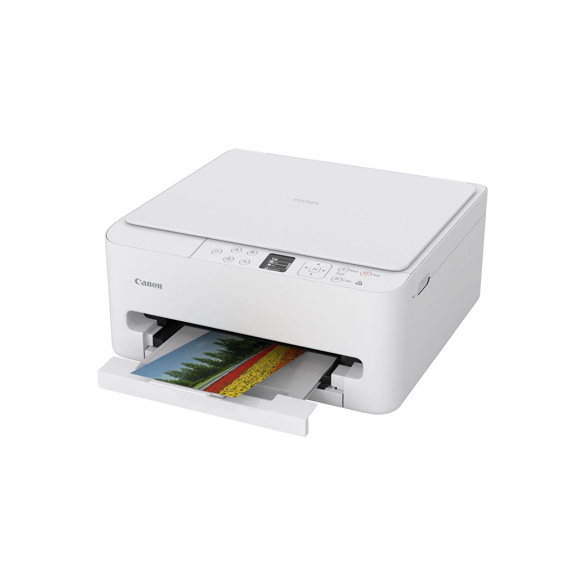 CANON PIXMA TS6550i A4 3in1 MFP Printer Duplex 14ppm