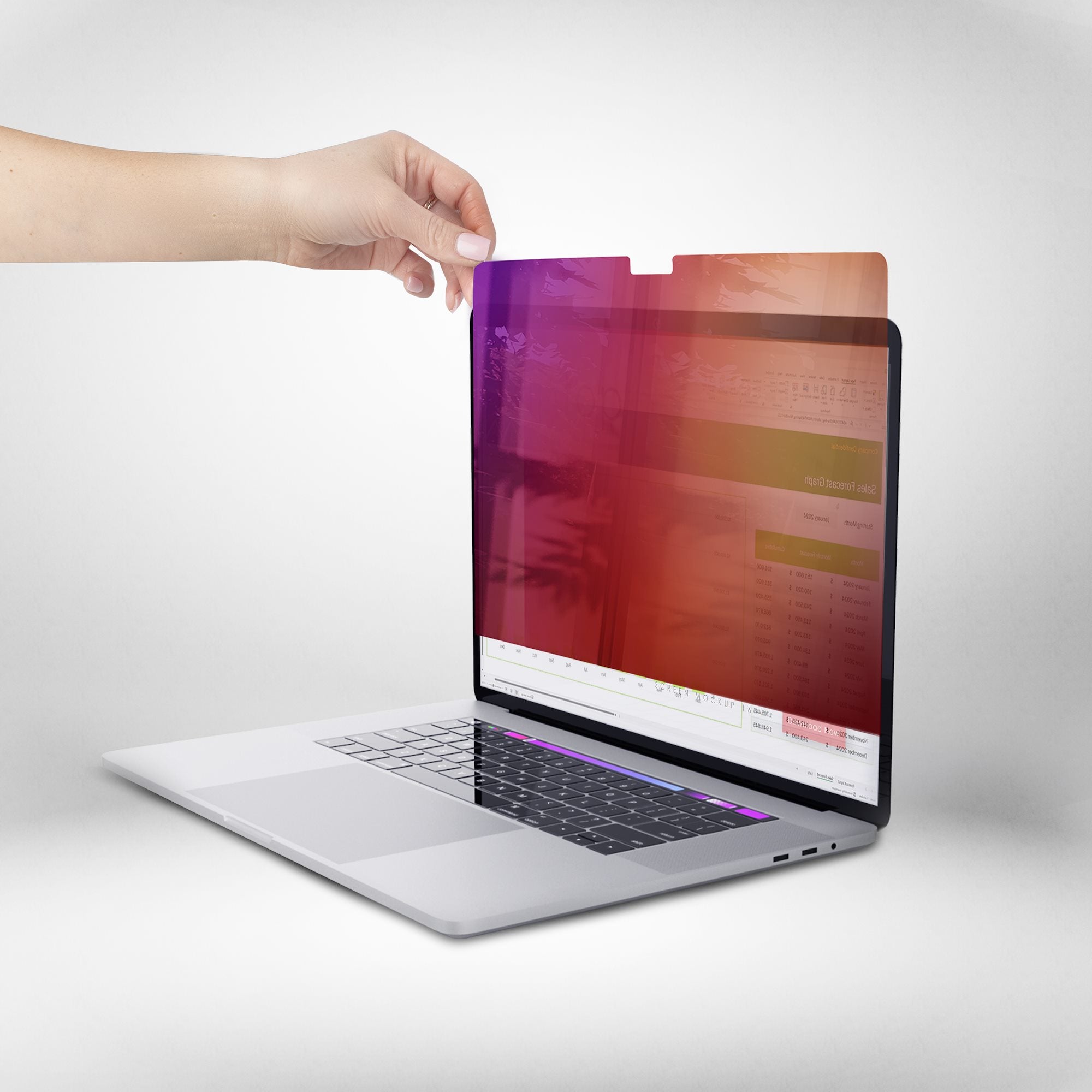 14in MacBook Gold Privacy Screen/Filter