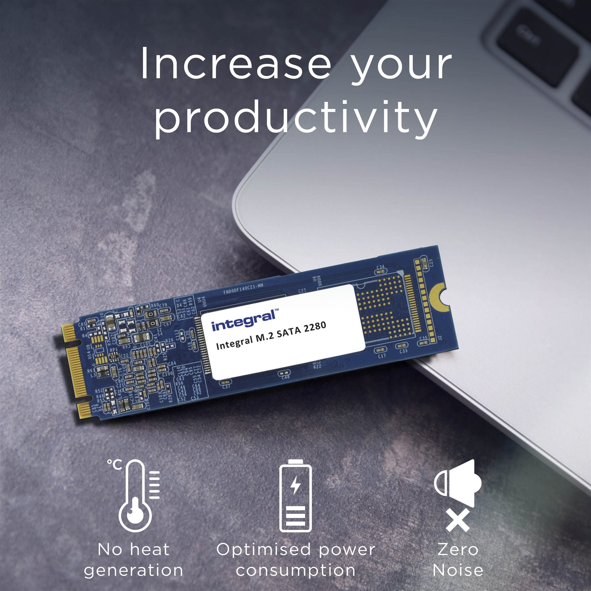 256GB SSD M.2 2280 SATA 3 INTEGRAL