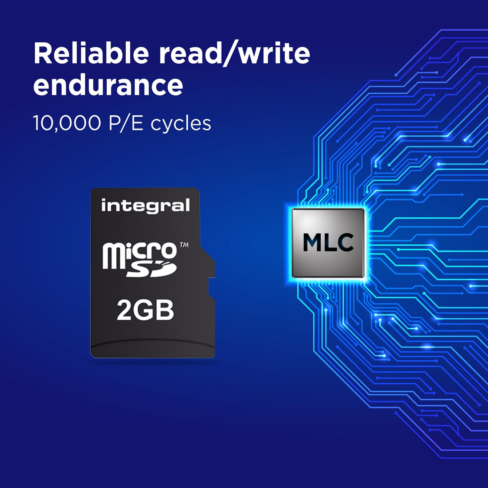 Micro SD Card 2GB w/Adapter to SD Card