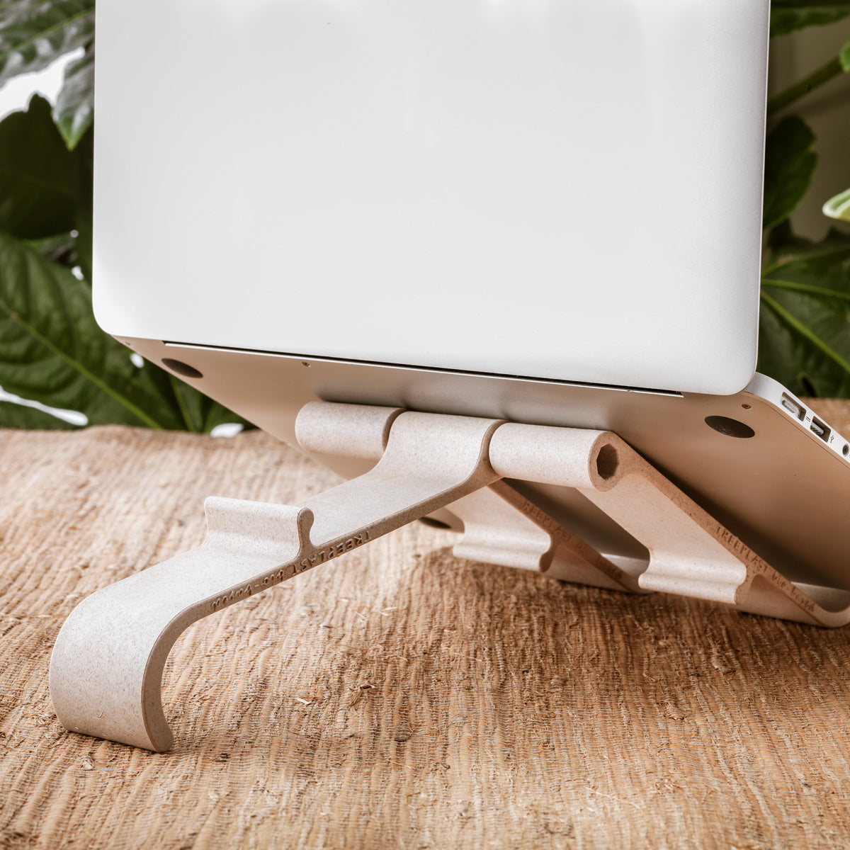 R-GO TOOLS Support pour PC et tablette Treepod, chêne