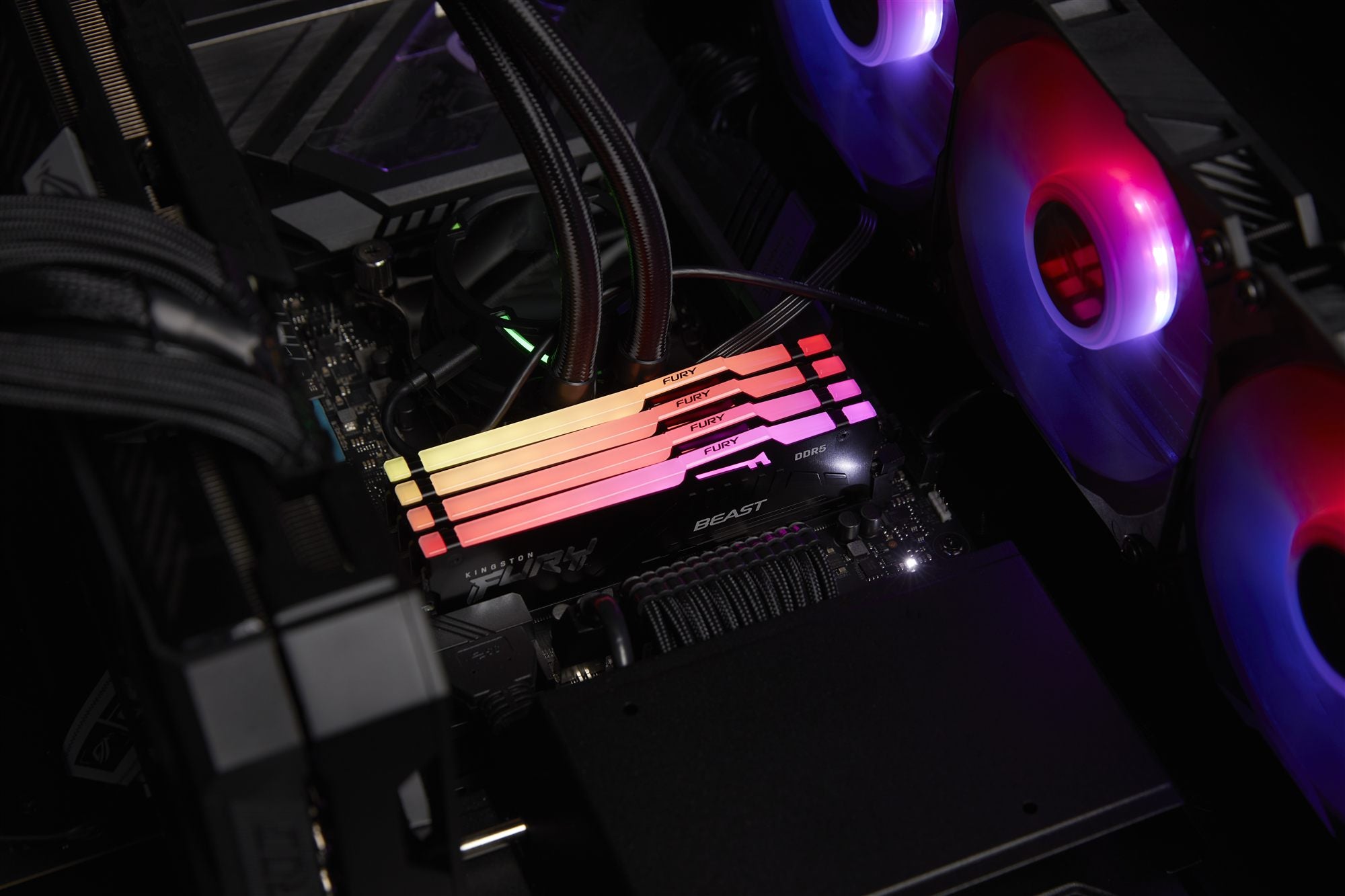 KINGSTON 64Go 5600MT/s DDR5 CL36 DIMM Kit of 2 FURY Beast RGB EXPO