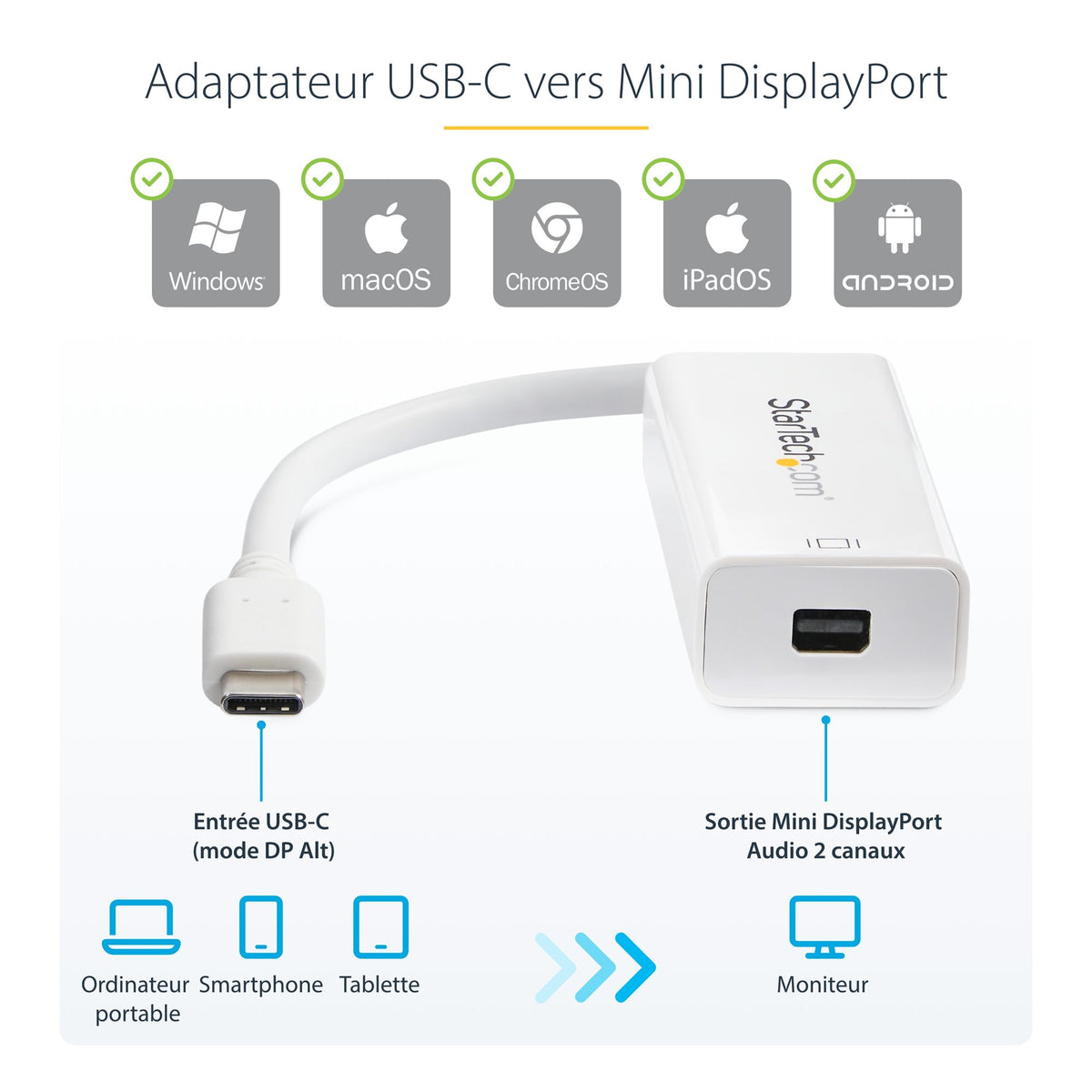 USB-C to Mini DisplayPort Adapter - 4K60