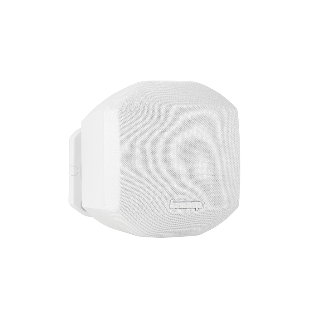 Biamp Pair of sat speakers. 2.5in 50W/8Ohms white