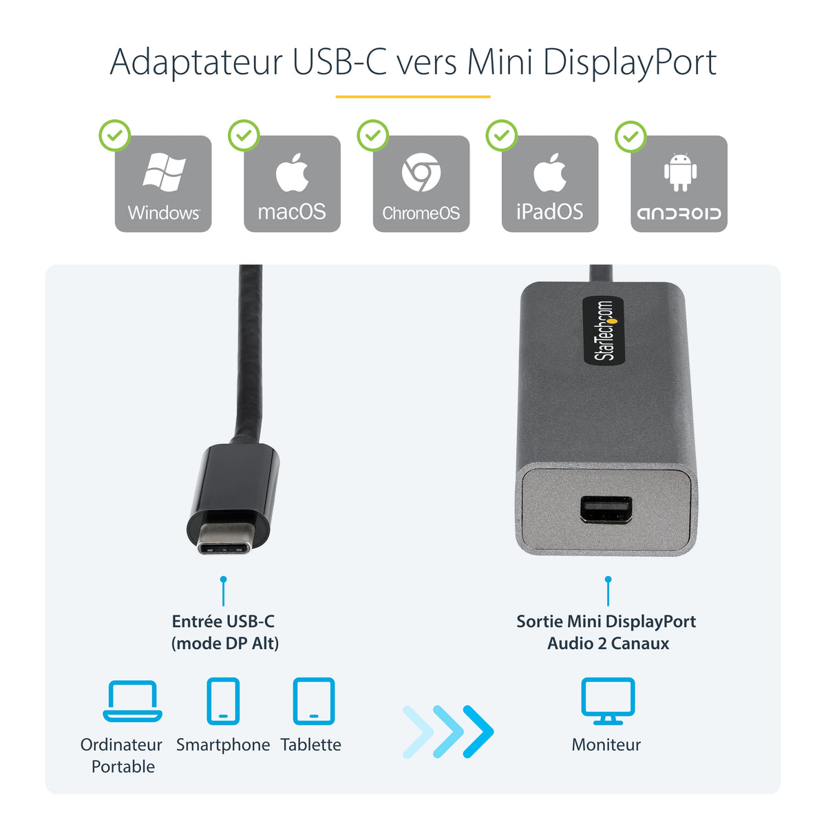 USB C to Mini DisplayPort Adapter 4K60Hz