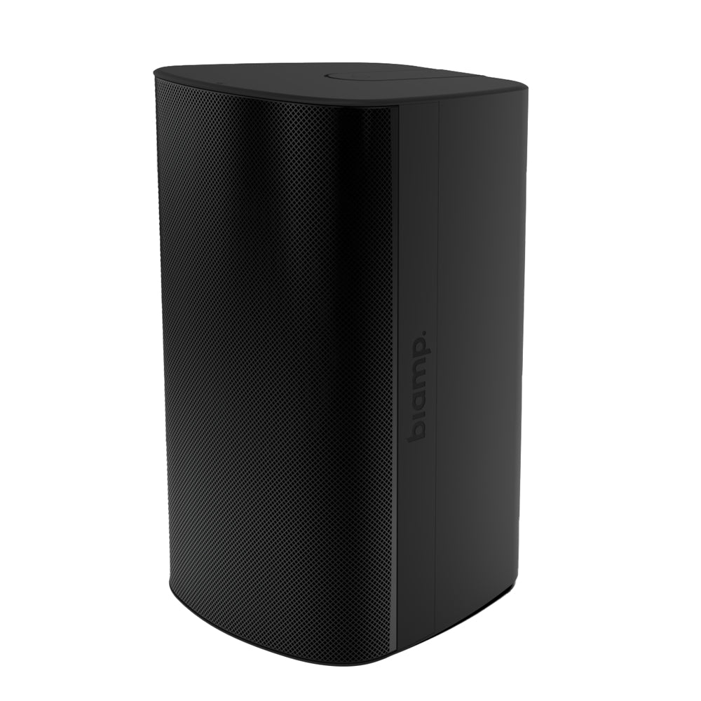 Biamp indoor/ outdoor subwoofer EX 10in Clickmount Black