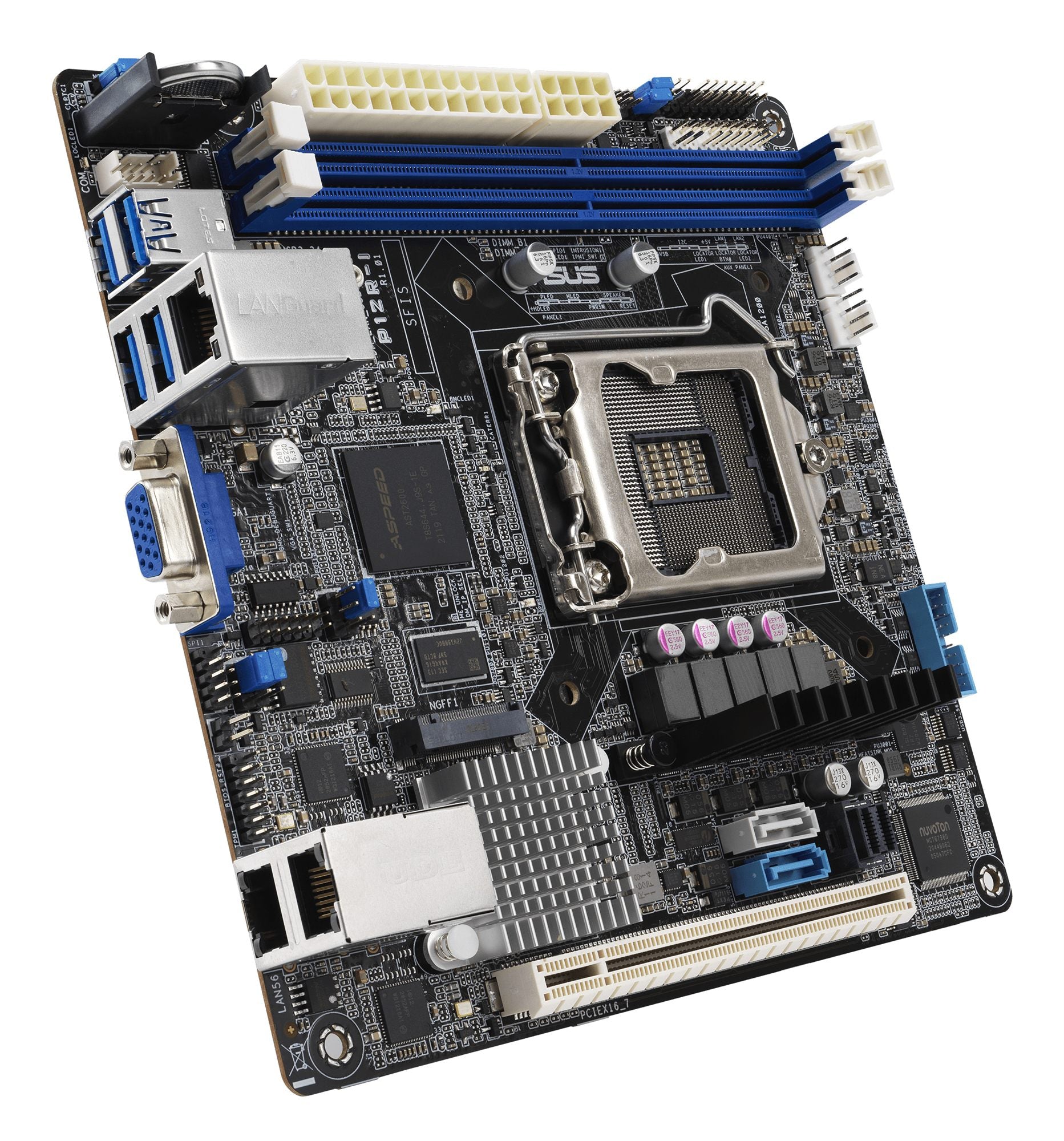 P12R-I/ASMB10