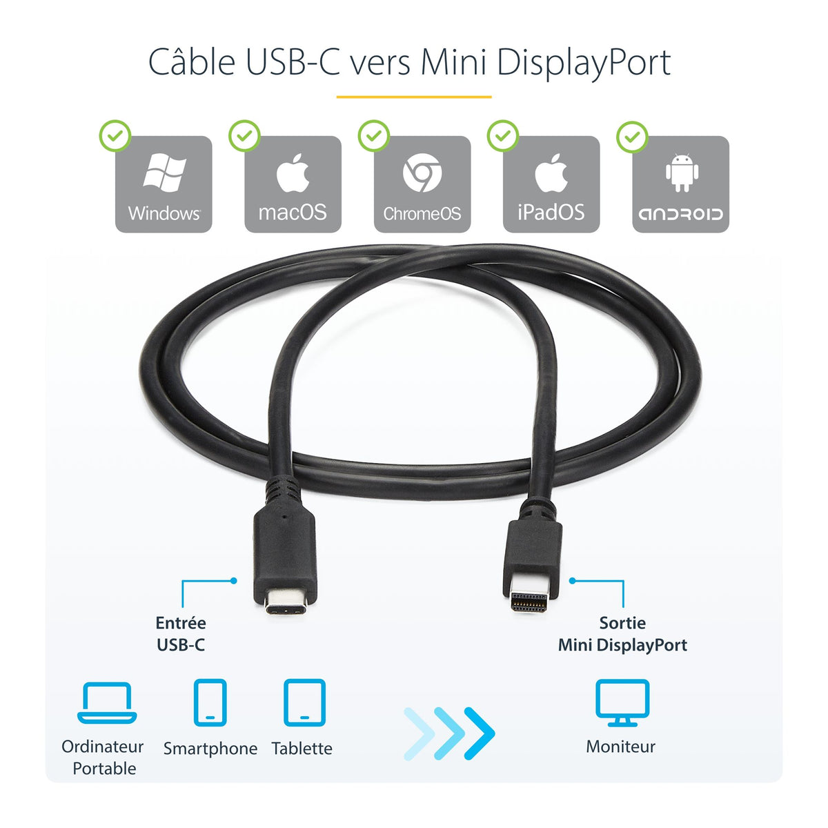 Cable USB C to Mini DisplayPort 1m/3ft