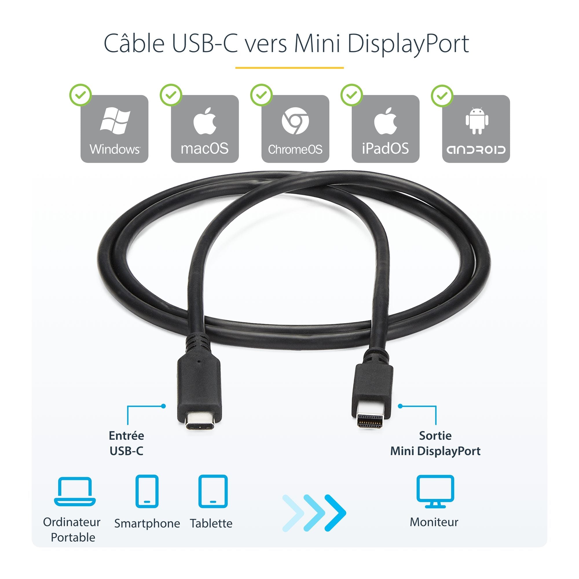 Cable USB C to Mini DisplayPort 6 ft