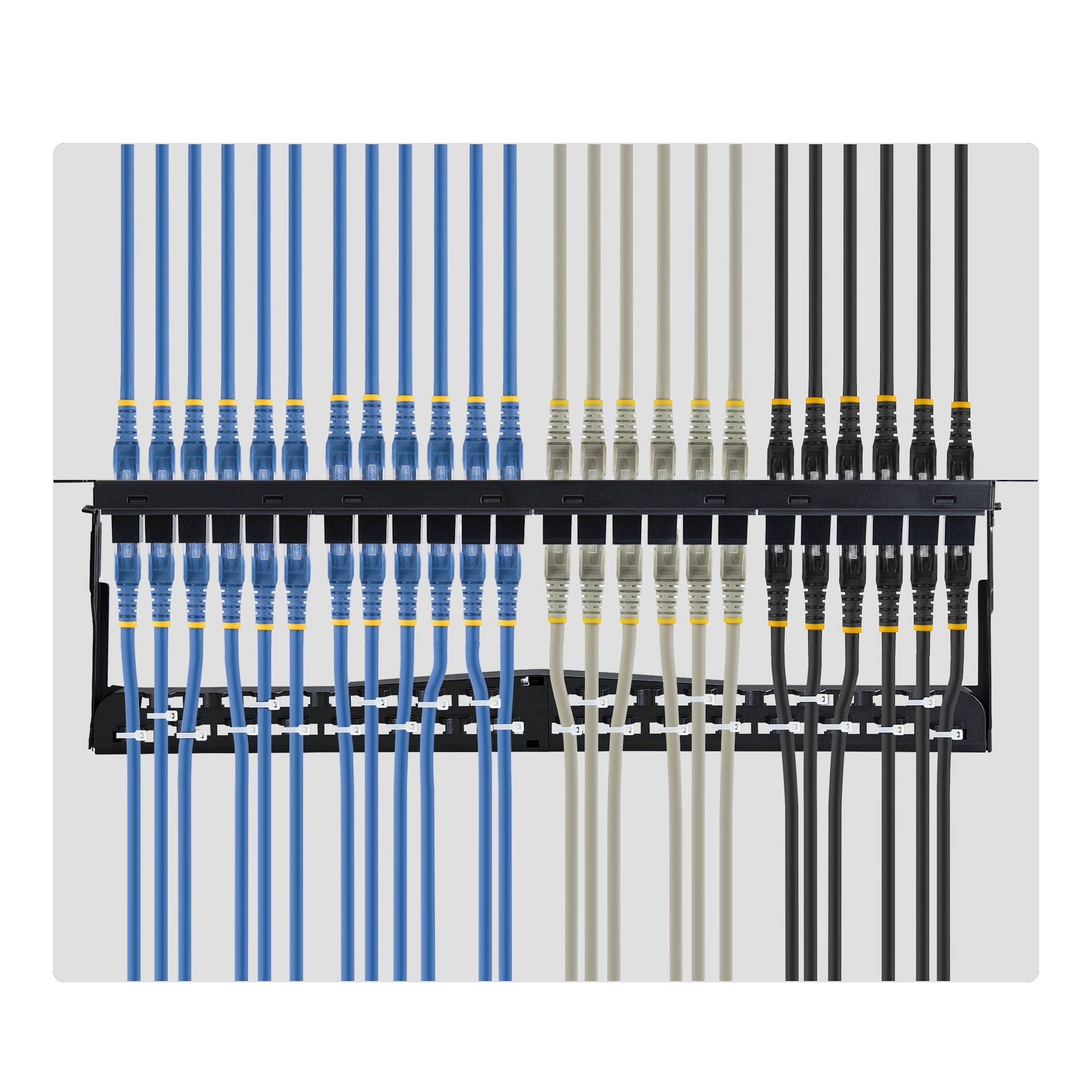 24 Port 1U Feed Through Patch Panel