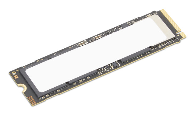 HDD_BO TS 4T PCIe G5 M.2 2280 SSD