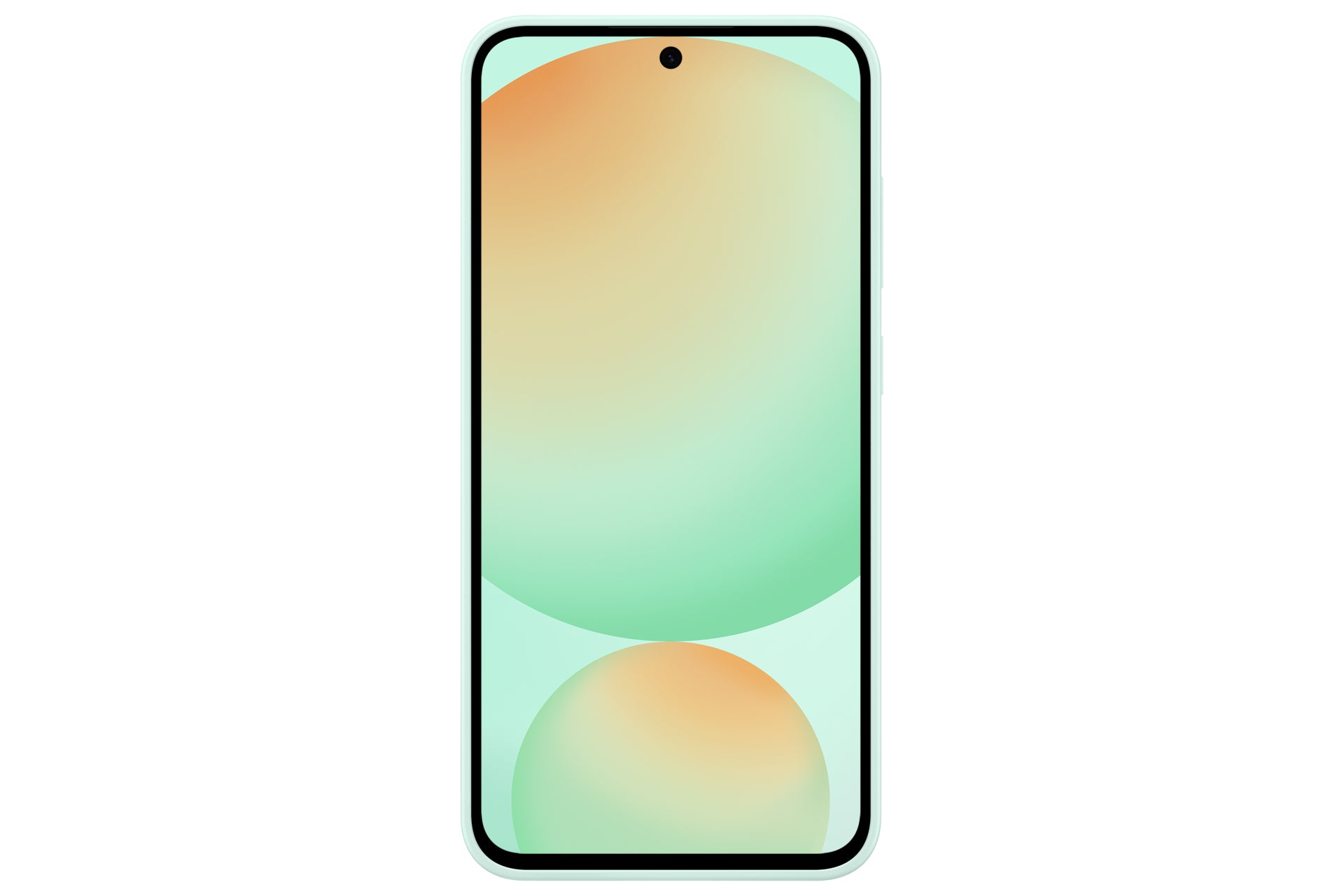 Samsung S24 FE Silicone Case Mint