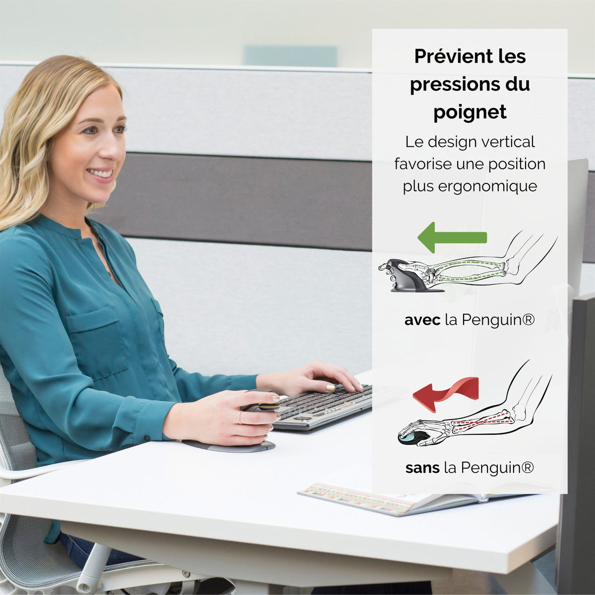 FELLOWES SOURIS VERTICALE AMBIDEXTRE PENGUIN SANS FIL - LARGE