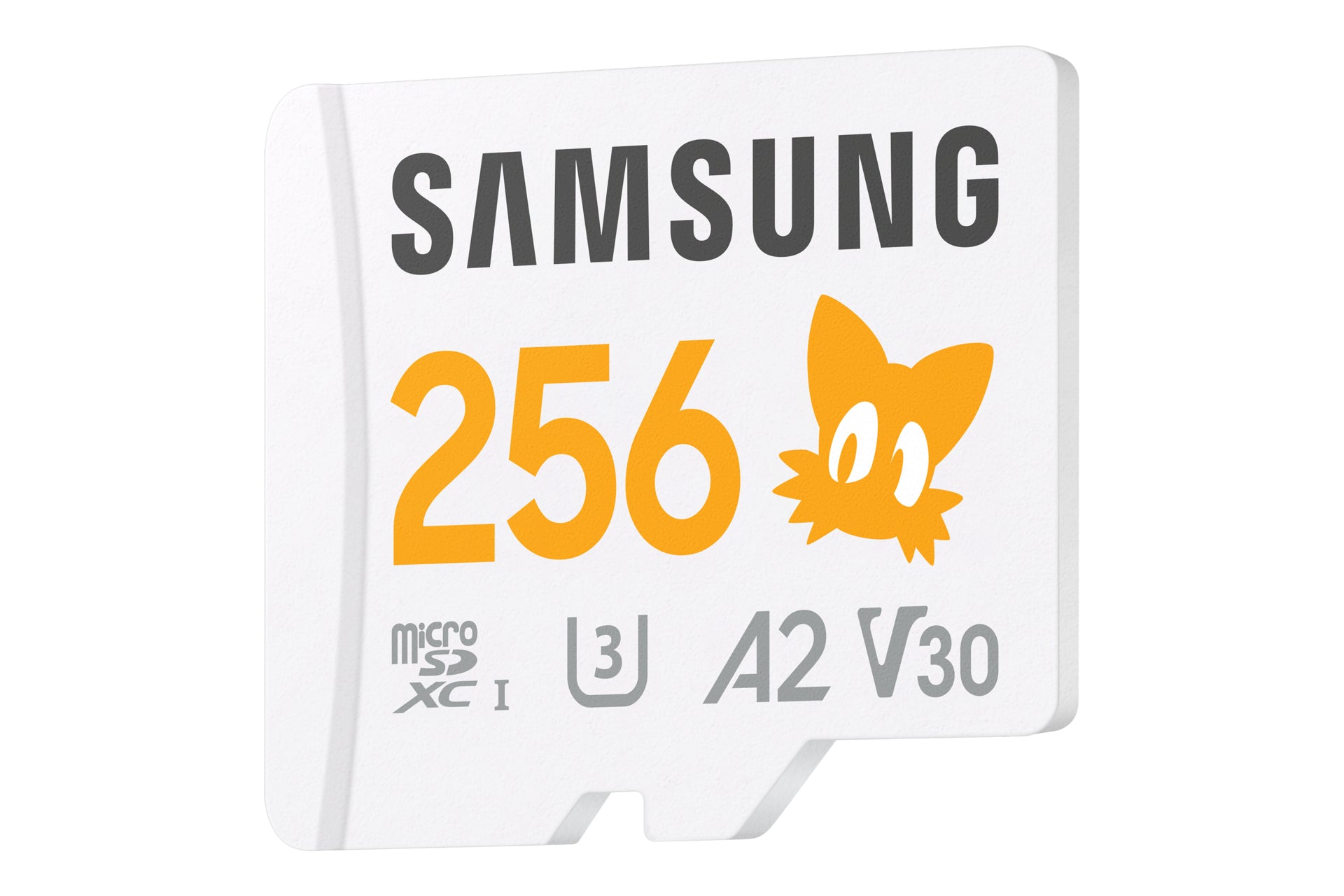 Samsung MB-MD256S MicroSDXC 256 Go Carte Mémoire Flash Classe 10 UHS-I avec Protection Haute Vitesse