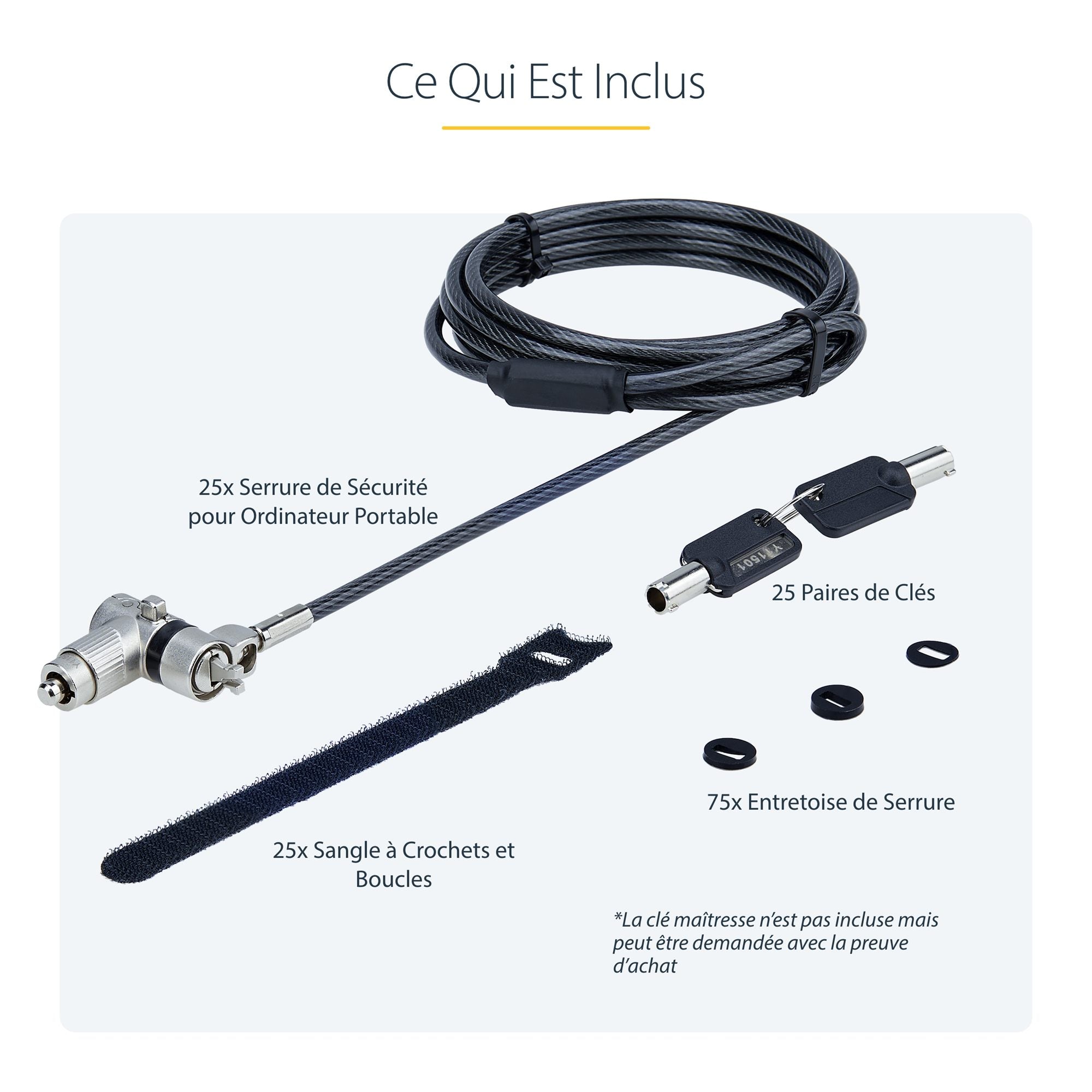 25-Pack Laptop Lock 6.6ft Cable