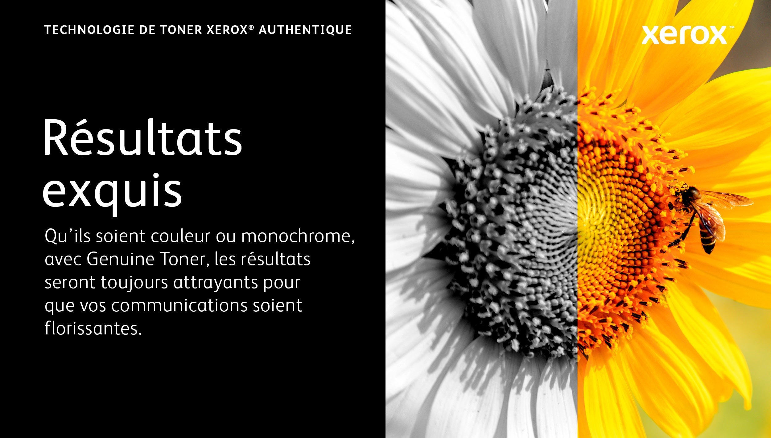 B620 B625 Extra High Capacity Blk TonerC