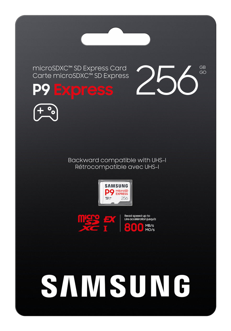 Samsung MicroSD 256GB P9 Express