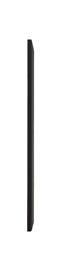 LG Signage Dispaky 65'