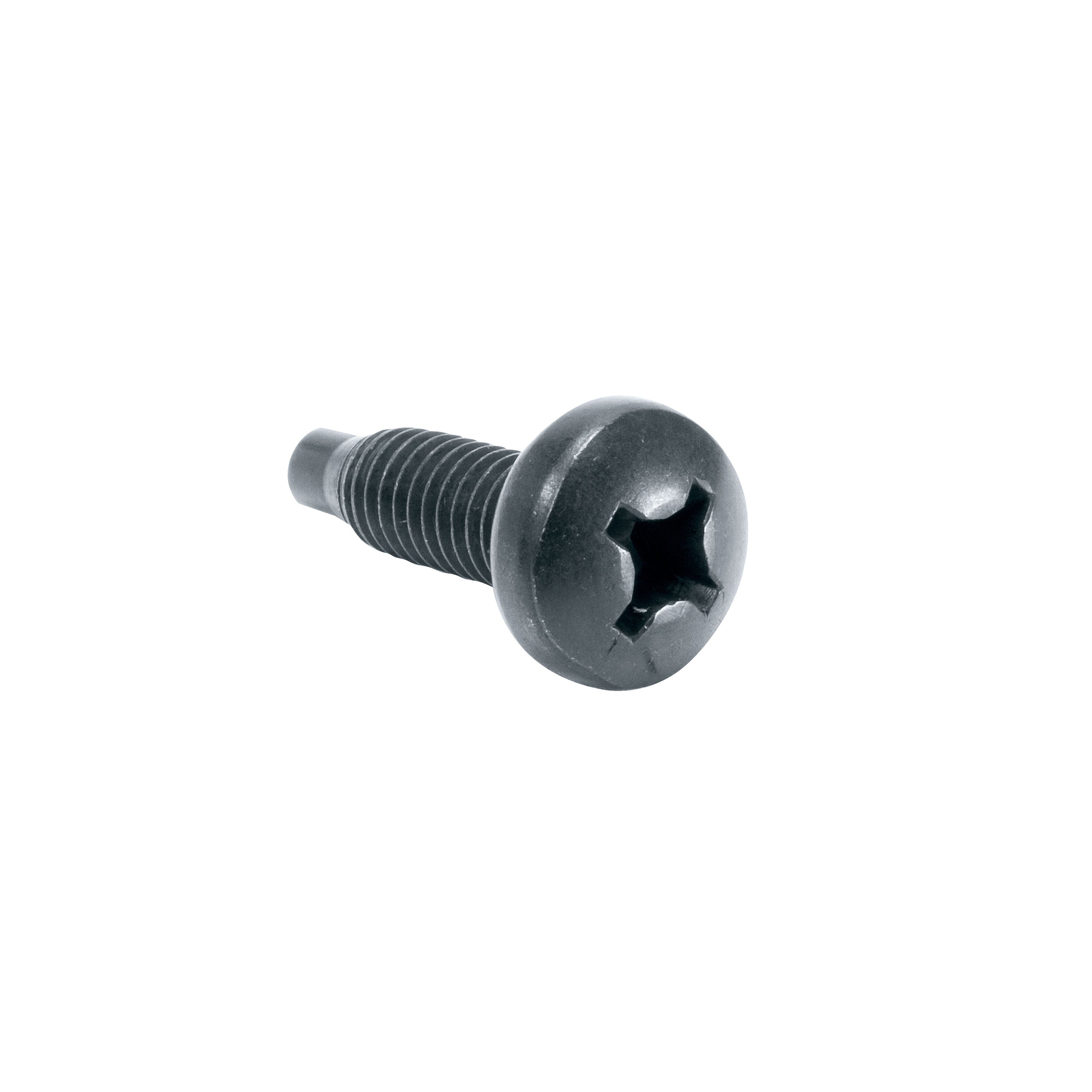 Middle Atlantic 100PC 6MM Rach screws Black