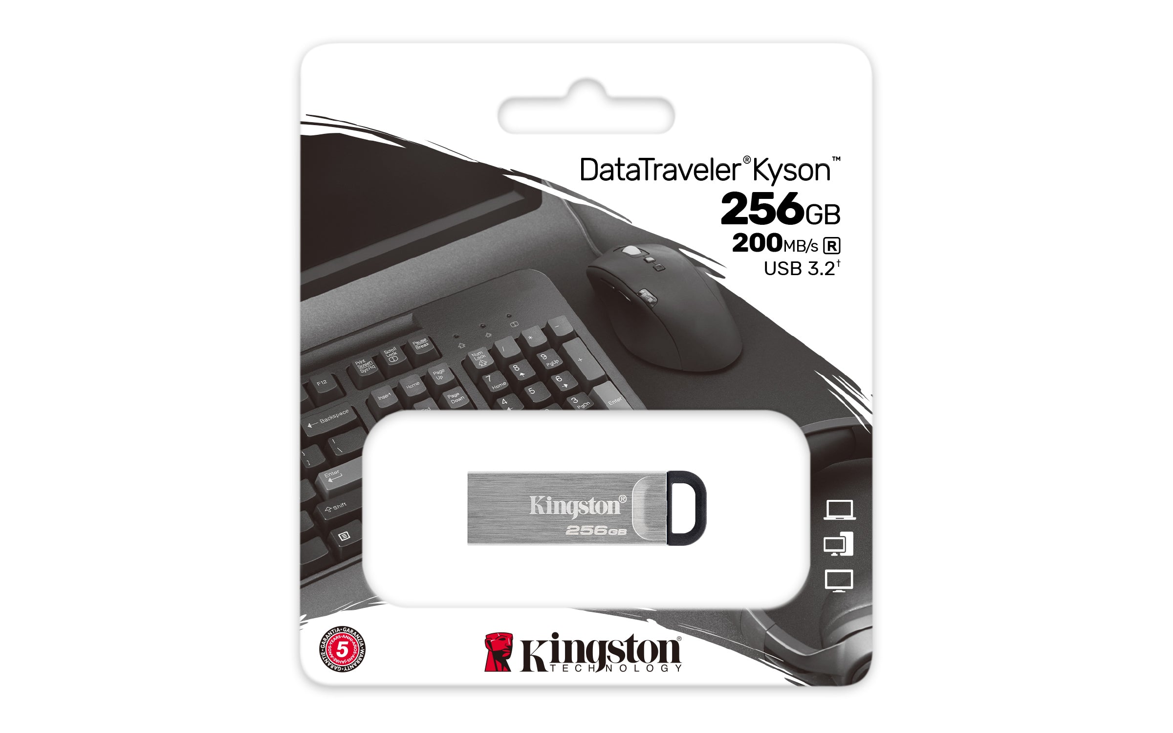 KINGSTON 256Go USB3.2 DataTraveler Gen1 Kyson