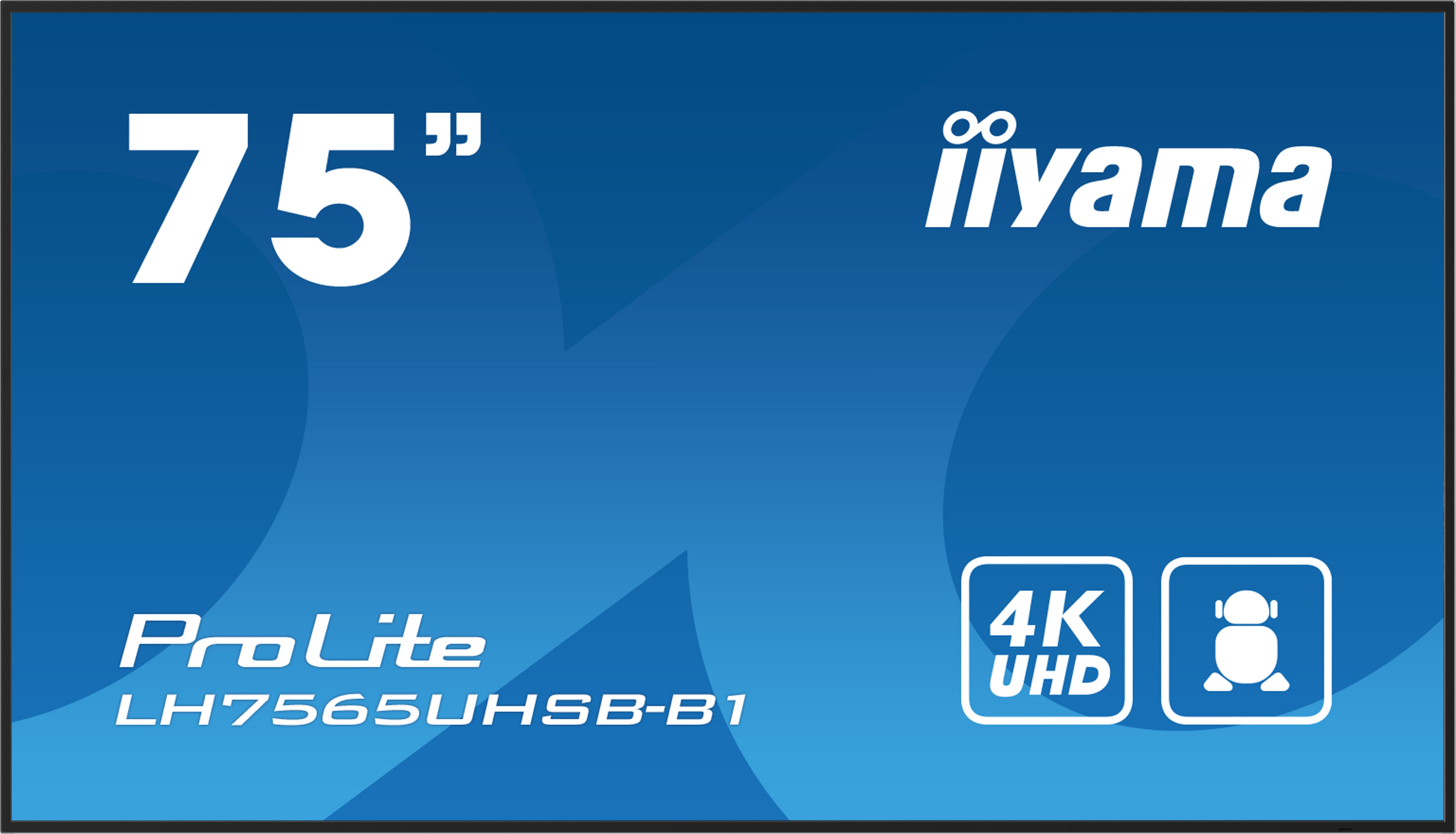 75" 3840x2160 UHD IPS Haze 1% 800cd