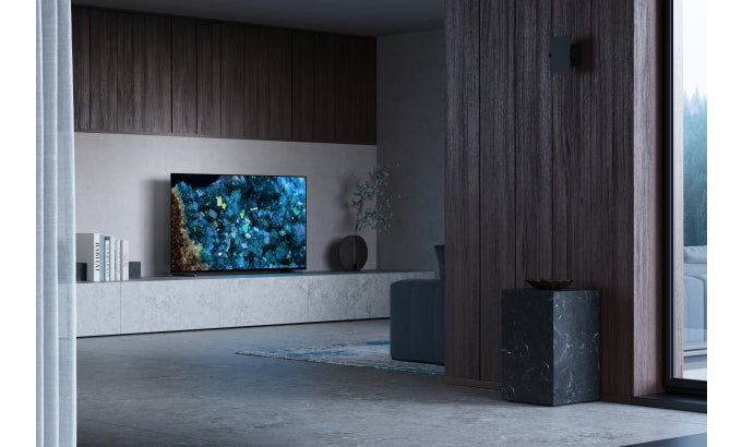 55" OLED Tuner and 3yrs PrimeSupport