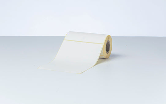 Package of 20 Label 102mm x 152mm