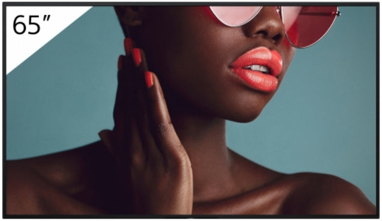 65" Pro BRAVIA LCD 700nit Haze