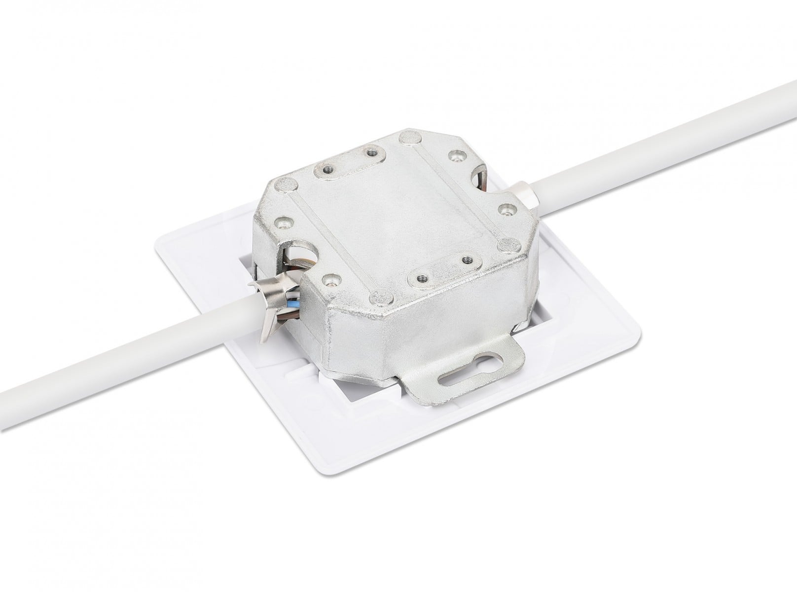 Intellinet 771917 prise de courant 2 x RJ-45 Blanc