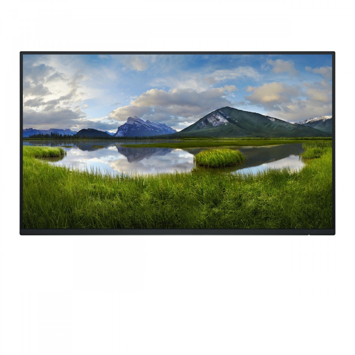 Dell 24" P2425HWO FHD Monitor - WOST
