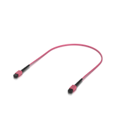 UACC-OFC-MA-MPMP-30M