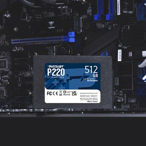 "Patriot Memory P220 512 Go 2,5"" Serial ATA III"