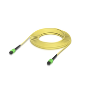 UACC-OFC-SA-MPMP-0.5M-10